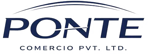 Ponte Logo